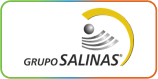 grupo-salinas-logo