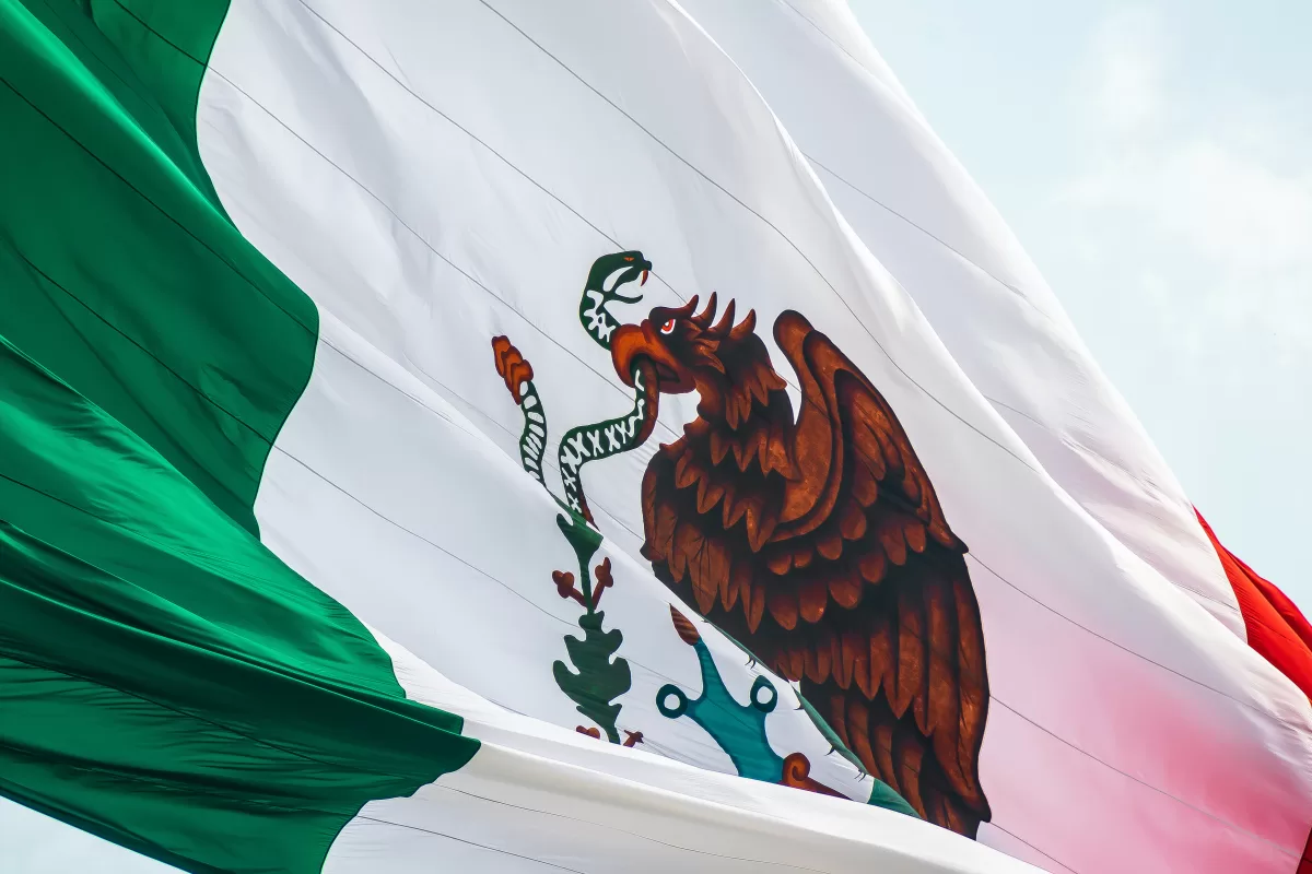 Autoneum - Mexico Flag